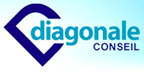 logo diagonaleconseil