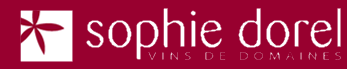 logo vinsdedomaines